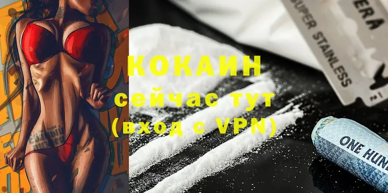 купить наркоту  Сыктывкар  Cocaine Боливия 