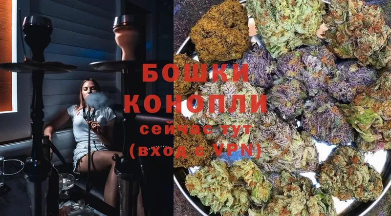 закладки  Сыктывкар  darknet какой сайт  Бошки Шишки Ganja 